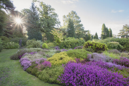 Champs Hill, Pulborough